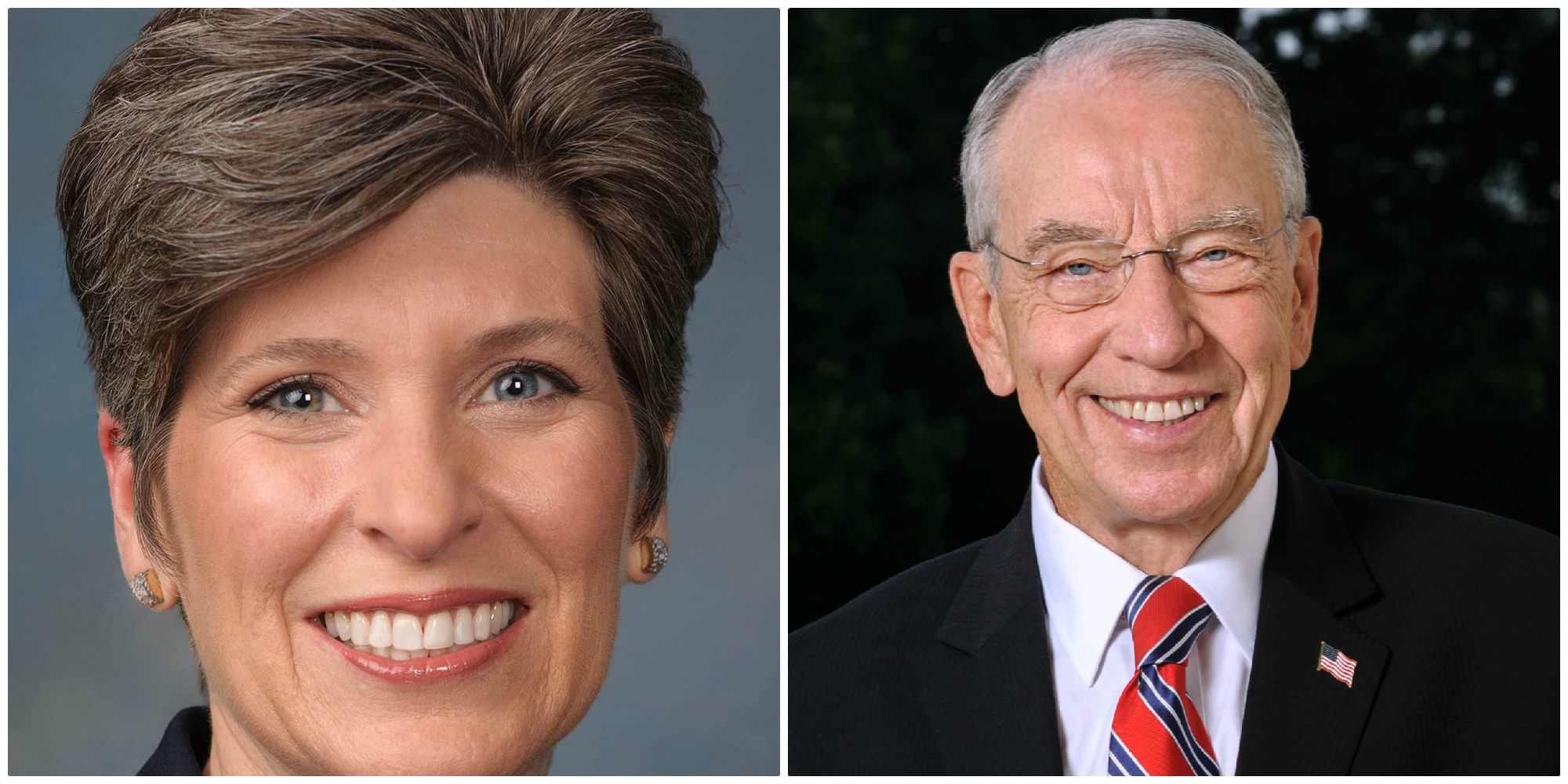 Ernst/Grassley mugs